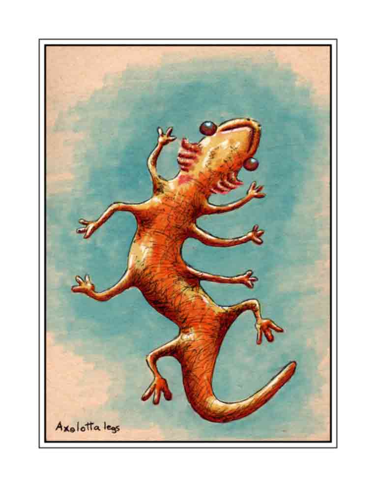 Axolotta Legs *inked version* (signed print)