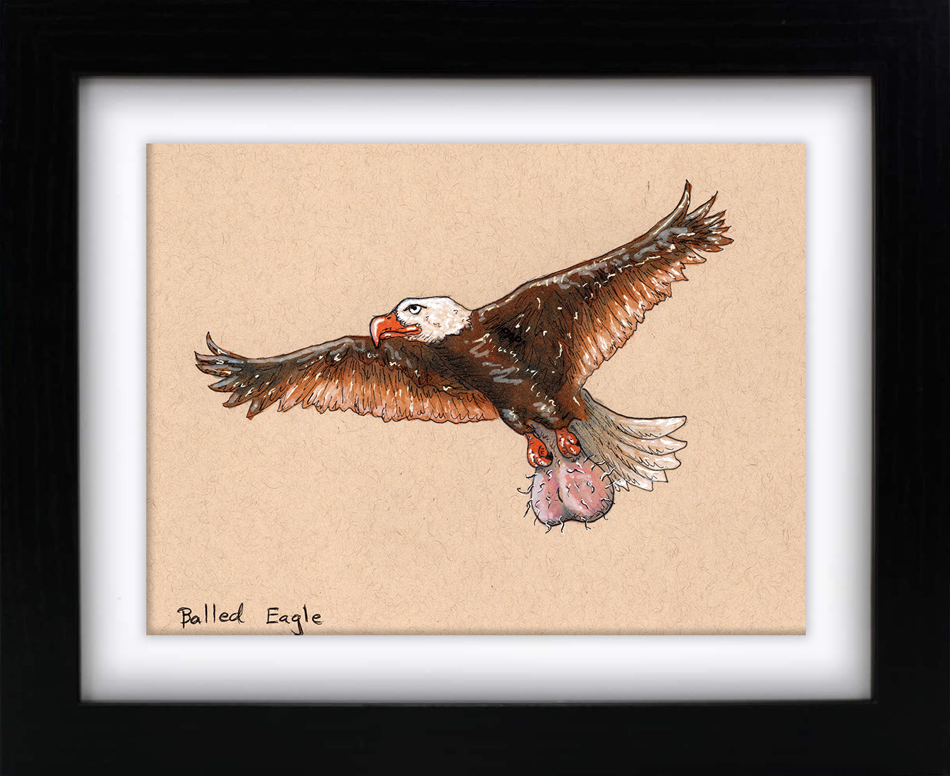 Balled Eagle (framed original)