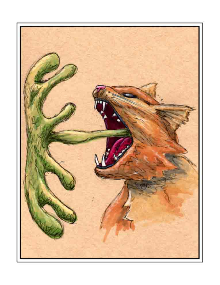 Cat Noise (signed print)